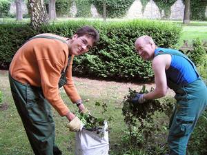 Zwei Personen sammeln Laub auf.